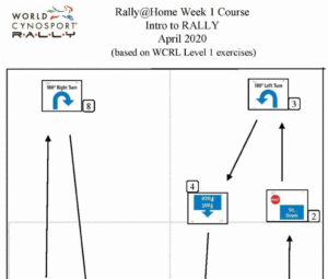 Rally Level 1: Practice Course